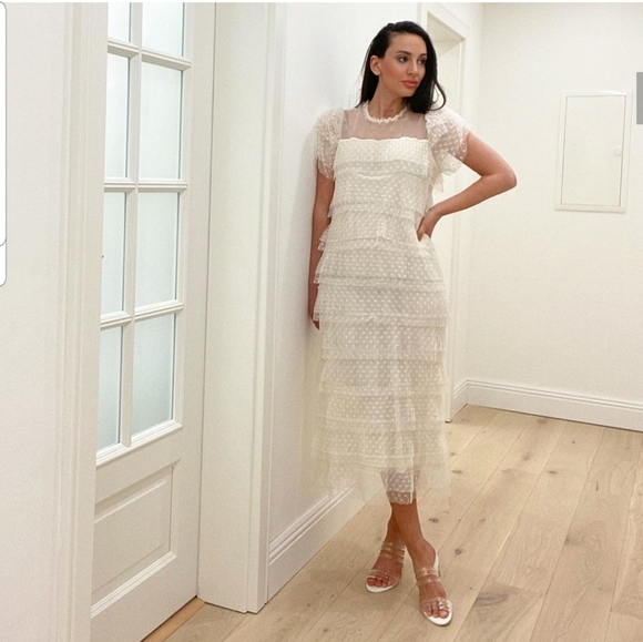 zara cut out tulle dress